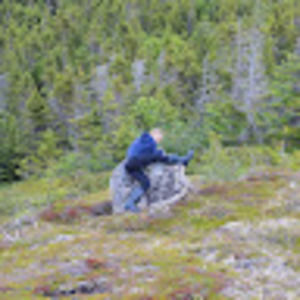 Meet your Posher, Lily